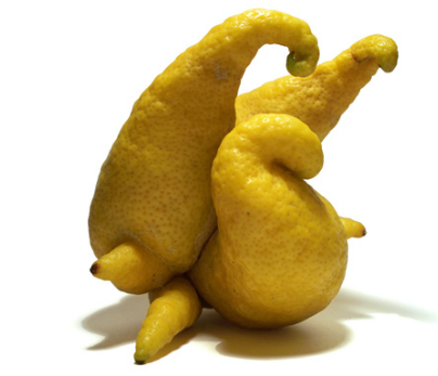 freaky lemon