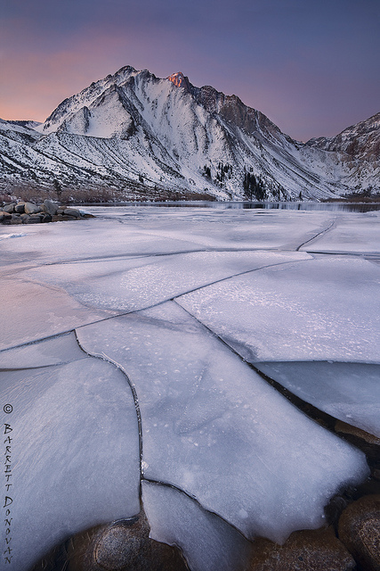 ice in Convict Lake at dawn