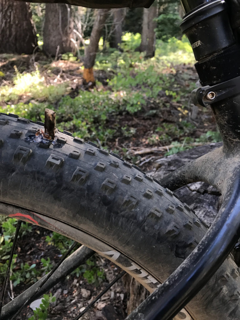 27.5 Plus tire with a stick stuck in it.