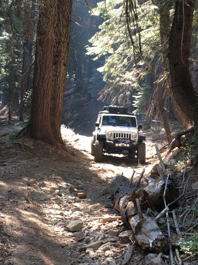 Jeep JK through the trees on the Plumas Backcountry Discovery Trail