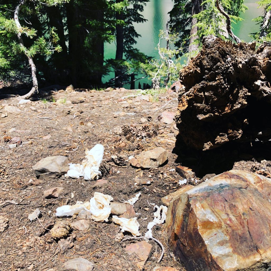 Toilet paper and human feces at Crater Lake, CA
