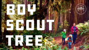 Boy Scout Tree Trail